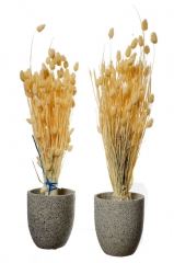 03  Suvo cveće za dekoraciju